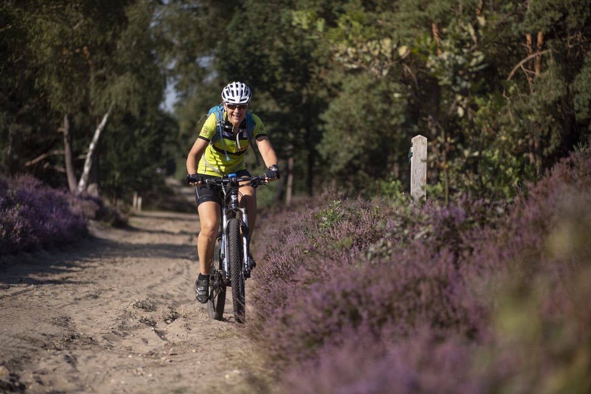 Fietsen door het water en de bomen: De 5 leukste vakantieparken in Belgisch Limburg